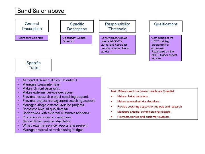 Band 8 a or above General Description Healthcare Scientist Specific Description Consultant Clinical Scientist