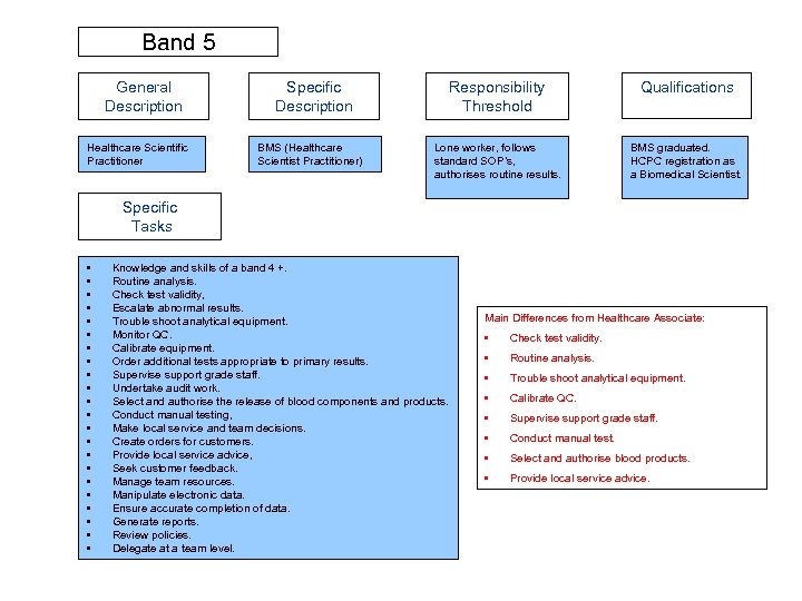 Band 5 General Description Healthcare Scientific Practitioner Specific Description BMS (Healthcare Scientist Practitioner) Responsibility