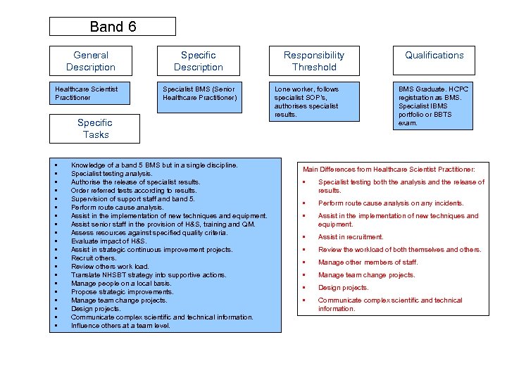 Band 6 General Description Healthcare Scientist Practitioner Specific Description Specialist BMS (Senior Healthcare Practitioner)