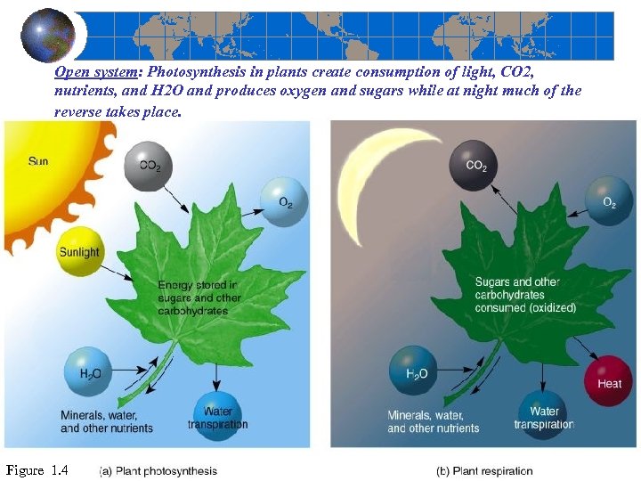 Open system: Photosynthesis in plants create consumption of light, CO 2, nutrients, and H