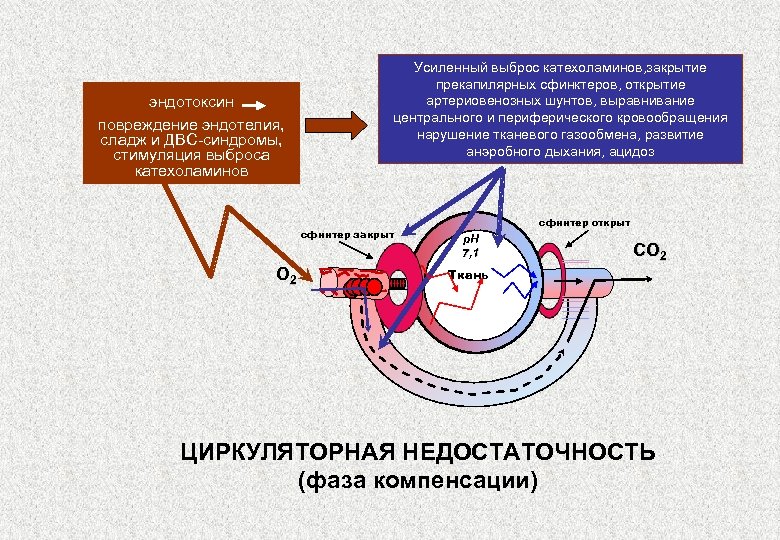 Дюфастон при эндометриозе схема