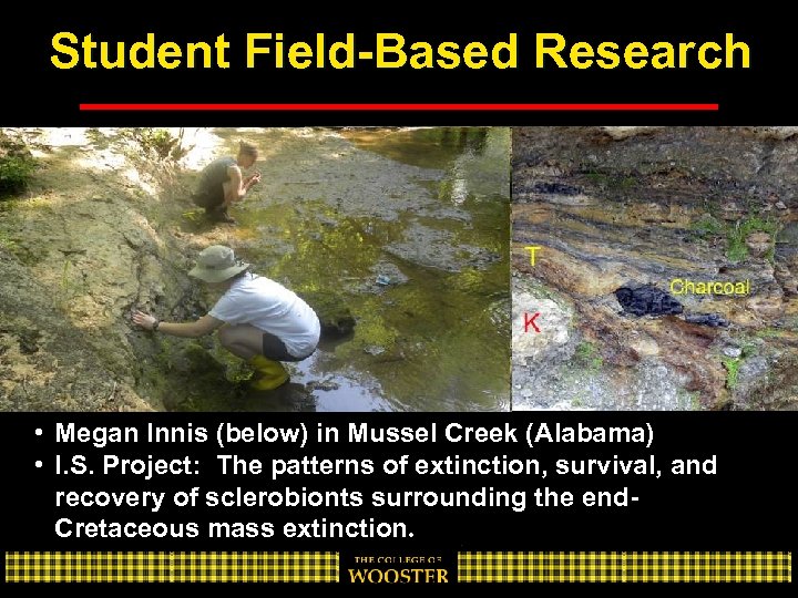 Student Field-Based Research • Megan Innis (below) in Mussel Creek (Alabama) • I. S.
