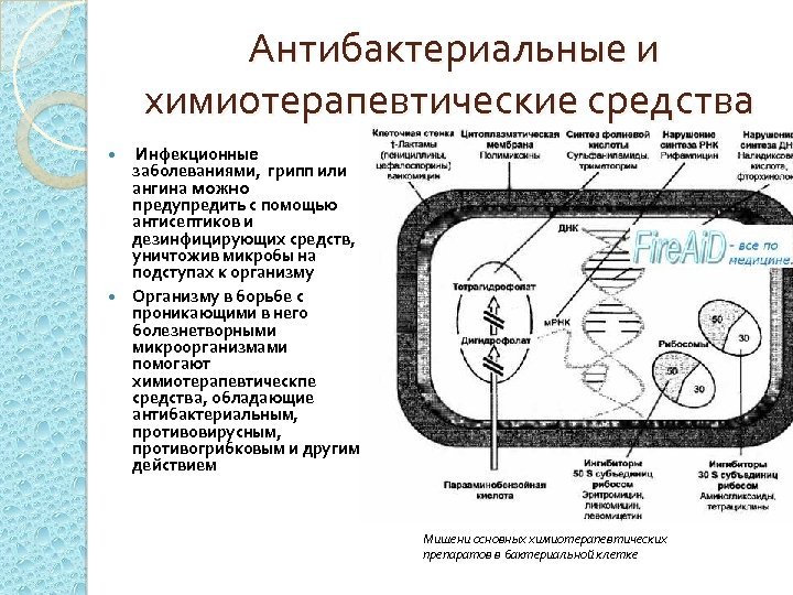 Антибактериальные и химиотерапевтические средства Инфекционные заболеваниями, грипп или ангина можно предупредить с помощью антисептиков