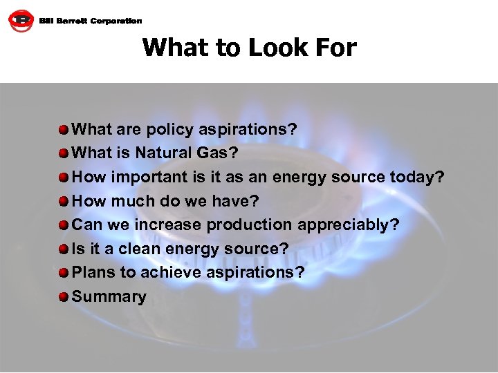 What to Look For What are policy aspirations? What is Natural Gas? How important