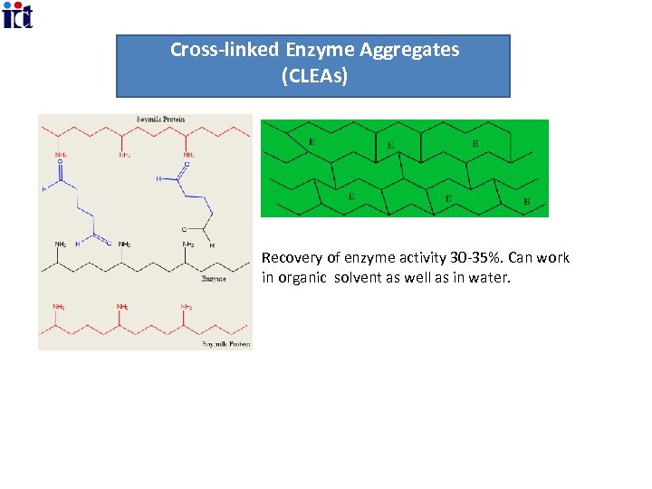 Cross-linked Enzyme Aggregates (CLEAs) Recovery of enzyme activity 30 -35%. Can work in organic