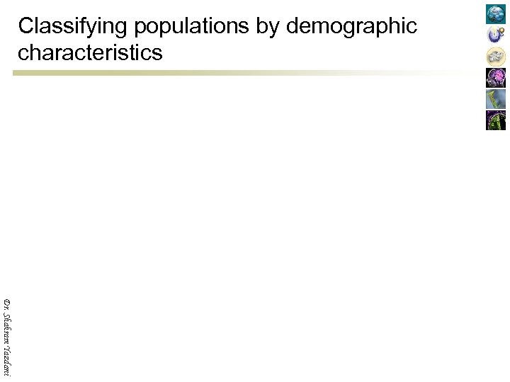 Classifying populations by demographic characteristics Dr. Shahram Yazdani 