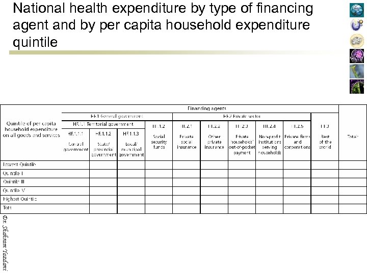 National health expenditure by type of financing agent and by per capita household expenditure