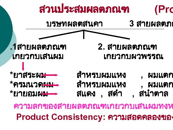 สวนประสมผลตภณฑ บรษทผลตสนคา. 1สายผลตภณฑ เกยวกบเสนผม (Pro 3 สายผลตภณ 2. สายผลตภณฑ เกยวกบผวพรรณ *ยาสระผม สำหรบผมแหง , ผมแตก
