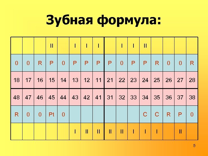 Зубная формула: II 0 0 R P I 0 I I P P P