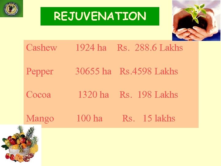 REJUVENATION Cashew 1924 ha Rs. 288. 6 Lakhs Pepper 30655 ha Rs. 4598 Lakhs