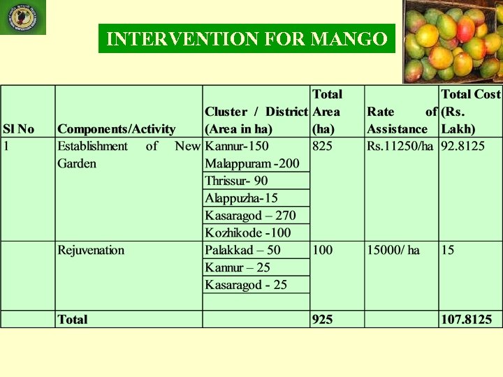 INTERVENTION FOR MANGO 