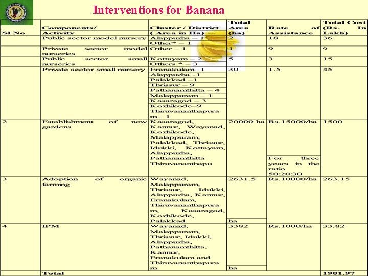 Interventions for Banana 