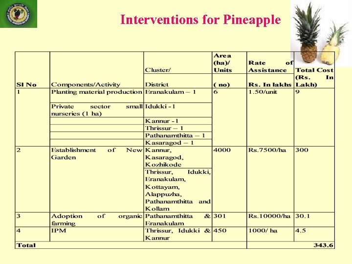 Interventions for Pineapple 