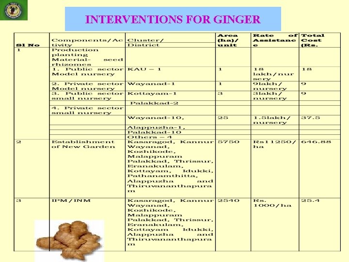 INTERVENTIONS FOR GINGER 