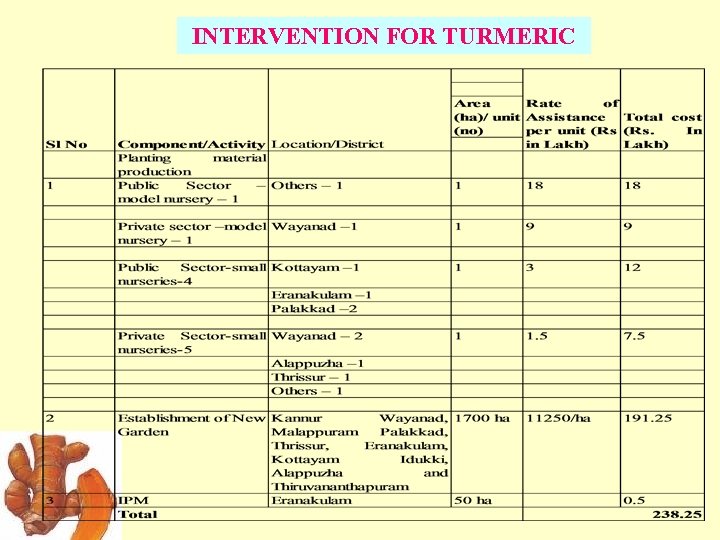 INTERVENTION FOR TURMERIC 