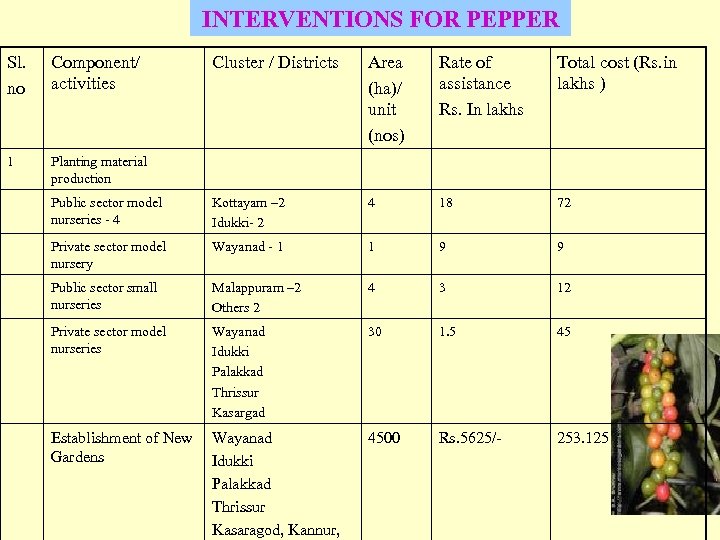 INTERVENTIONS FOR PEPPER Sl. no Component/ activities Cluster / Districts Area (ha)/ unit (nos)