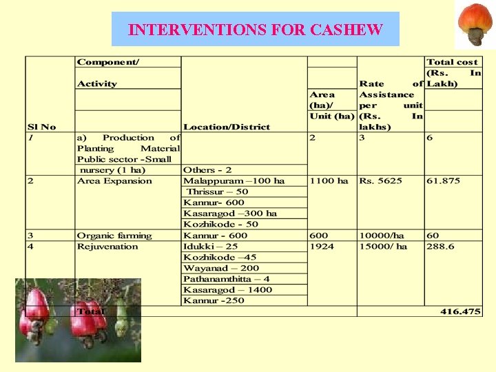 INTERVENTIONS FOR CASHEW 