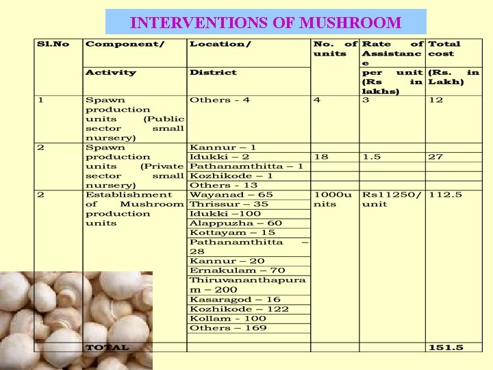 INTERVENTIONS OF MUSHROOM 