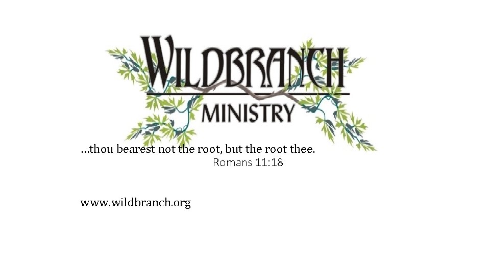 …thou bearest not the root, but the root thee. Romans 11: 18 www. wildbranch.