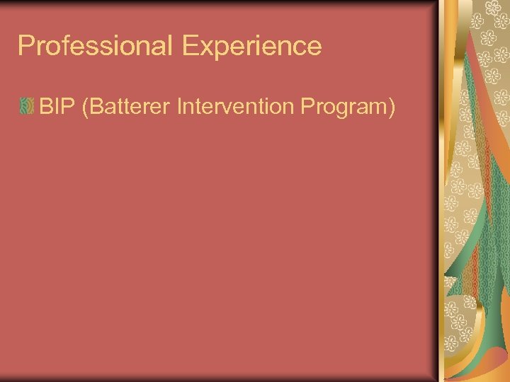Professional Experience BIP (Batterer Intervention Program) 