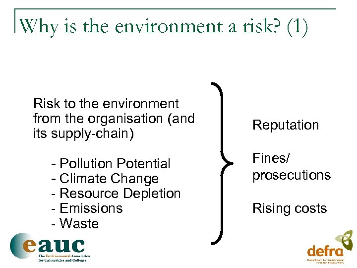 Why is the environment a risk? (1) Risk to the environment from the organisation