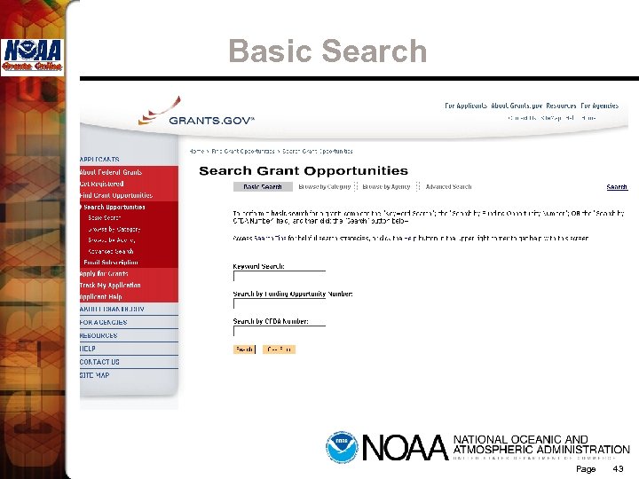 Basic Search Page 43 