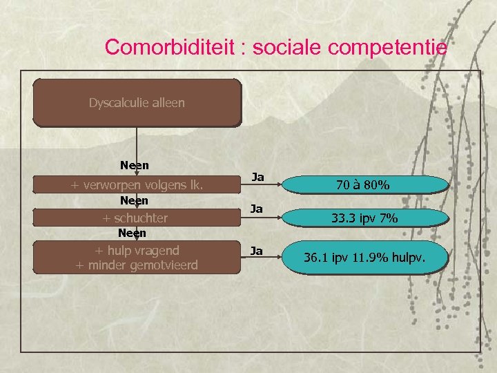Comorbiditeit : sociale competentie Dyscalculie alleen Neen + verworpen volgens lk. Neen + schuchter