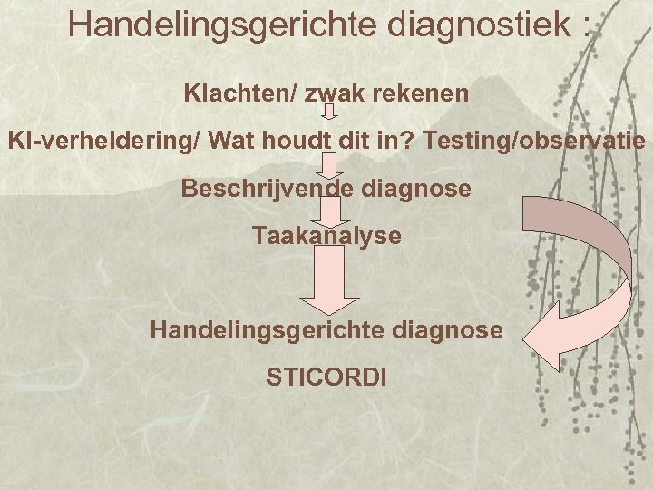 Handelingsgerichte diagnostiek : Klachten/ zwak rekenen Kl-verheldering/ Wat houdt dit in? Testing/observatie Beschrijvende diagnose