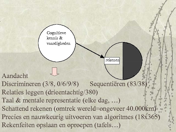  Cognitieve kennis & vaardigheden rekenen Aandacht Discrimineren (3/8, 0/6/9/8) Sequentiëren (83/38) Relaties leggen