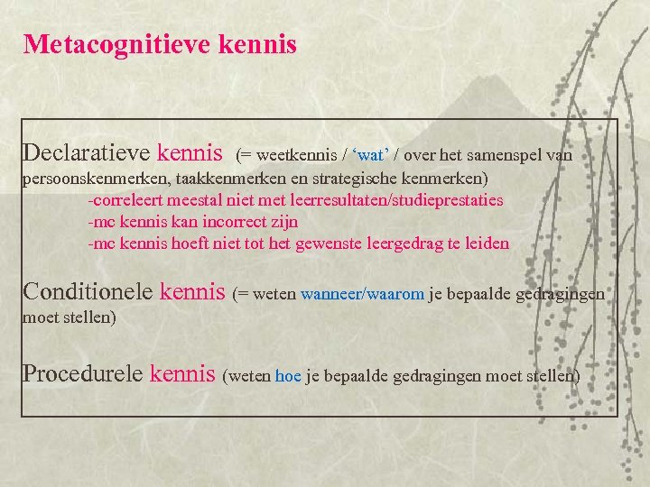 Metacognitieve kennis Declaratieve kennis (= weetkennis / ‘wat’ / over het samenspel van persoonskenmerken,