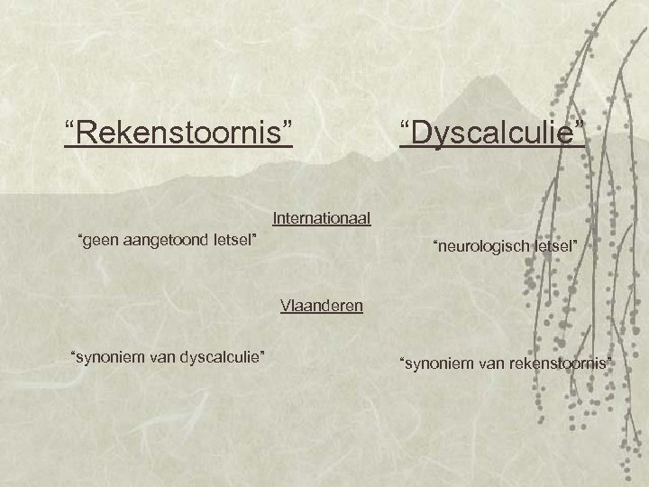 “Rekenstoornis” “Dyscalculie” Internationaal “geen aangetoond letsel” “neurologisch letsel” Vlaanderen “synoniem van dyscalculie” “synoniem van