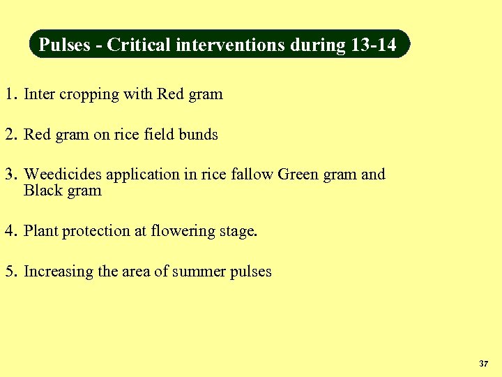 Pulses - Critical interventions during 13 -14 1. Inter cropping with Red gram 2.
