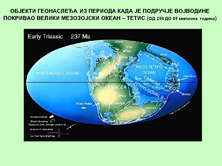 ОБЈЕКТИ ГЕОНАСЛЕЂА ИЗ ПЕРИОДА КАДА ЈЕ ПОДРУЧЈЕ ВОЈВОДИНЕ ПОКРИВАО ВЕЛИКИ МЕЗОЗОЈСКИ ОКЕАН – ТЕТИС