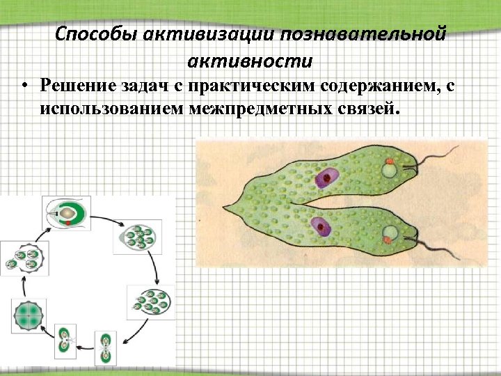 Способы активизации познавательной активности • Решение задач с практическим содержанием, с использованием межпредметных связей.