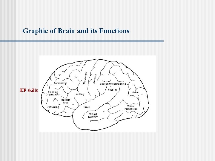 Graphic of Brain and its Functions EF skills 