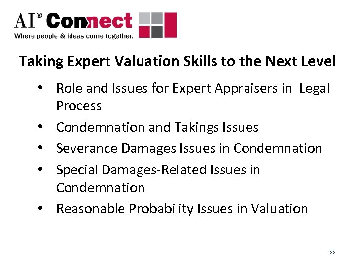 Taking Expert Valuation Skills to the Next Level • Role and Issues for Expert