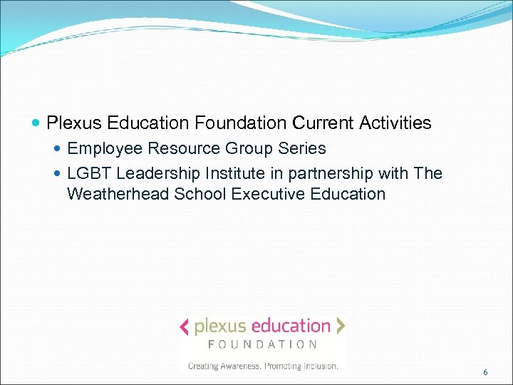  Plexus Education Foundation Current Activities Employee Resource Group Series LGBT Leadership Institute in