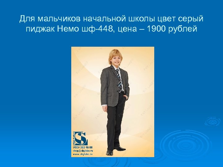 Для мальчиков начальной школы цвет серый пиджак Немо шф-448, цена – 1900 рублей 