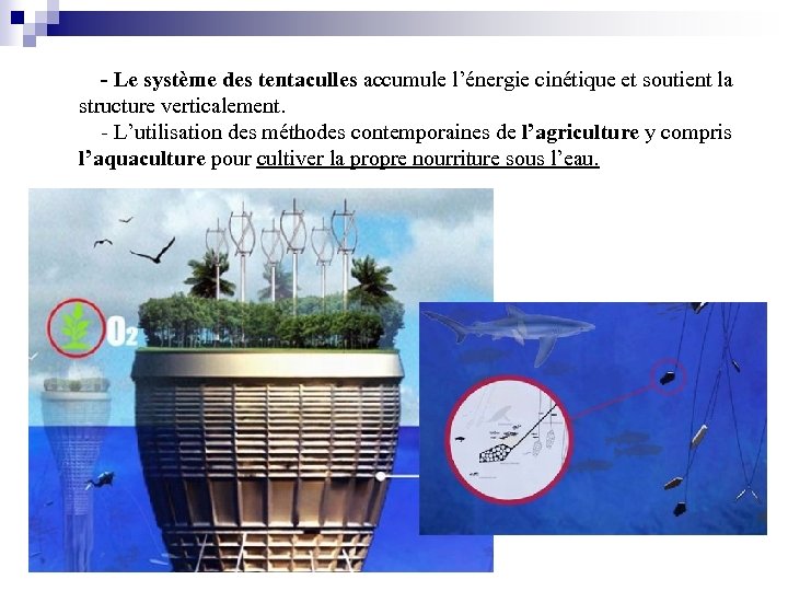 - Le système des tentaculles accumule l’énergie cinétique et soutient la structure verticalement. -