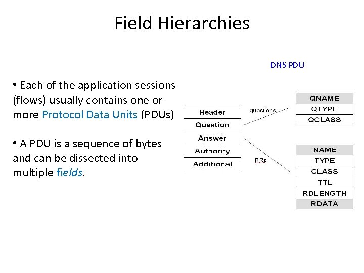 Field Hierarchies DNS PDU • Each of the application sessions (flows) usually contains one