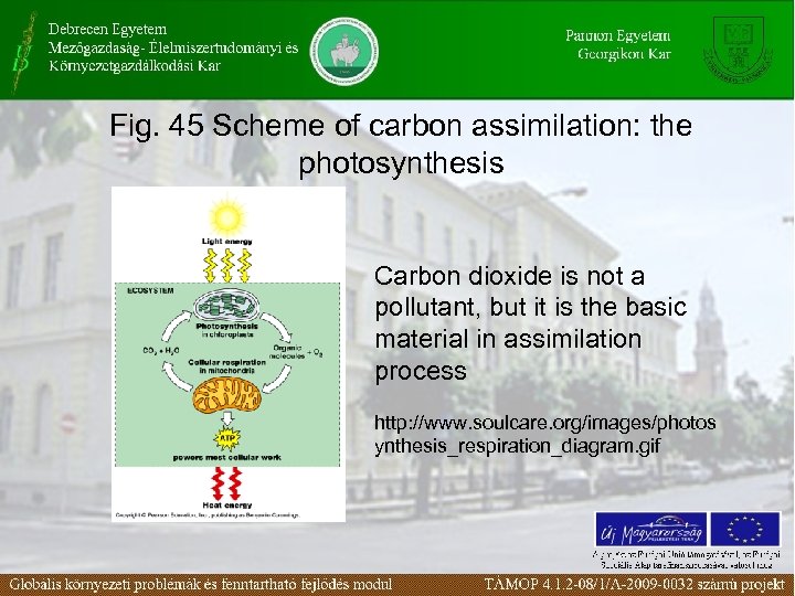 Fig. 45 Scheme of carbon assimilation: the photosynthesis Carbon dioxide is not a pollutant,