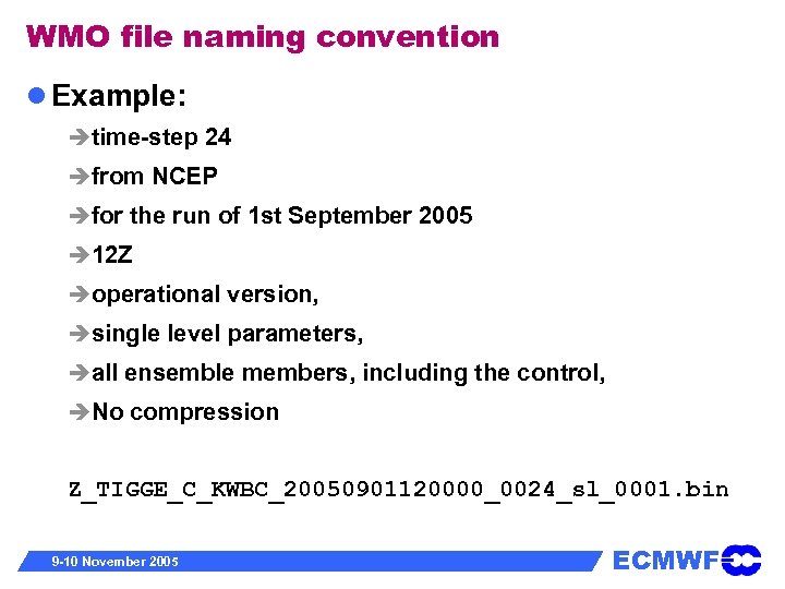 WMO file naming convention Example: time-step 24 from NCEP for the run of 1