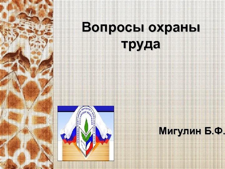 Вопросы охраны труда Мигулин Б. Ф. 
