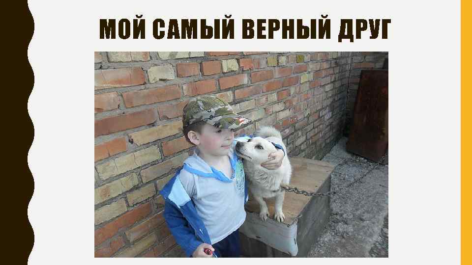 МОЙ САМЫЙ ВЕРНЫЙ ДРУГ 