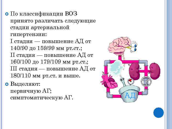 По классификации ВОЗ принято различать следующие стадии артериальной гипертензии: I стадия — повышение АД