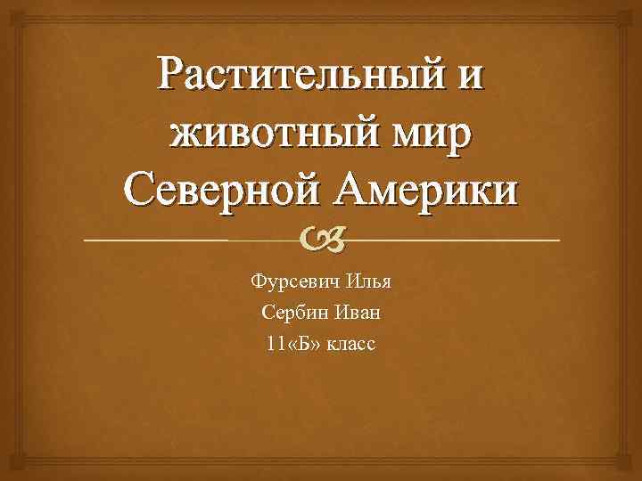Растительный и животный мир Северной Америки Фурсевич Илья Сербин Иван 11 «Б» класс 