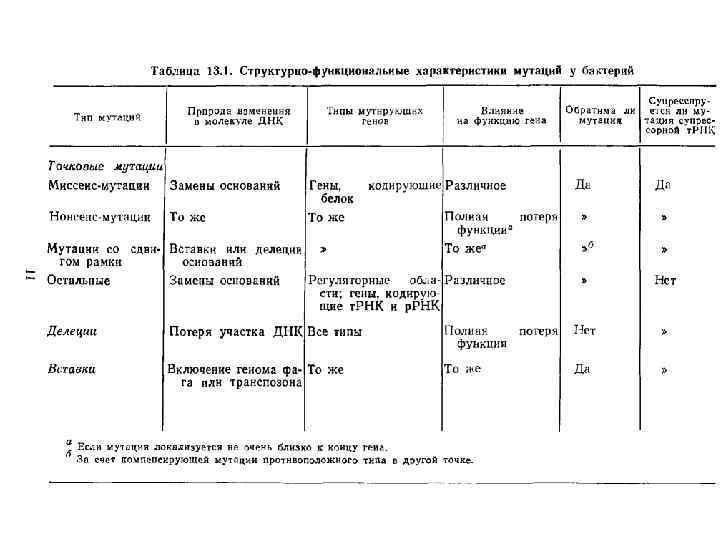 Мутагенез Существует еще один тип наследственной изменчивости - изменения, возниющие у прокариот в результате