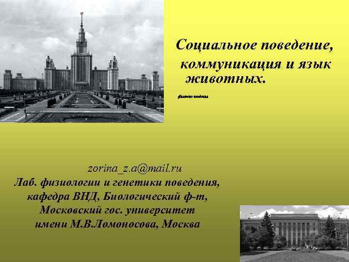 Социальное поведение, коммуникация и язык животных. филогенез поведения zorina_z. a@mail. ru Лаб. физиологии и