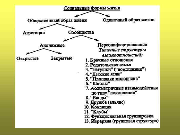 По Шмерлиной 