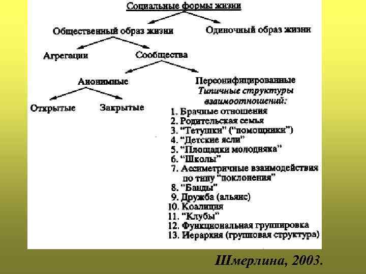 По Шмерлиной Шмерлина, 2003. 